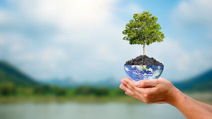 Planting trees on the earth by hand for environmental sustainability.Environmental day concept and...