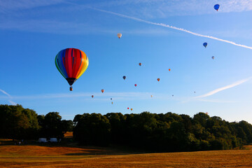 hot air balloons flying over the field