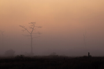 Fototapeta premium misty morning sunrise