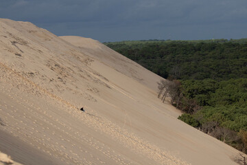 Fototapeta na wymiar dune du Pyla coté forêt landaise