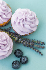 blueberry cupcake on a plate