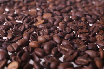 Coffee beans isolated on white background with copyspace for text. Coffee background or texture concept.