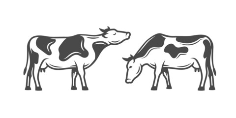 Many farm cows isolated on white background. Vector illustration