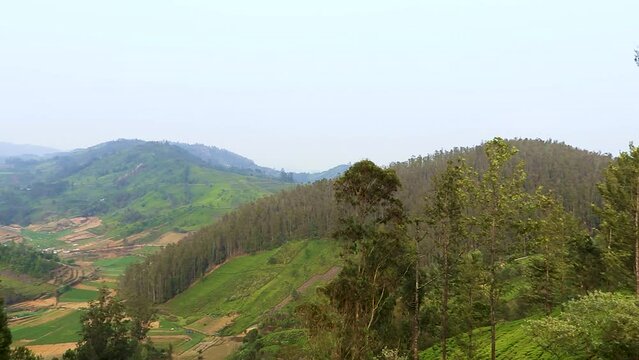 tea garden mountain view with countryside farming field at morning video taken at ooty tamilnadu india.
