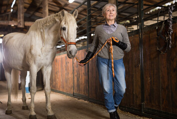 European elderly woman rancher holding rein and leading horse out of stable.