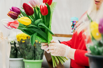 Woman florist makes bouquet of fresh tulips. Hands hold spring flowers.