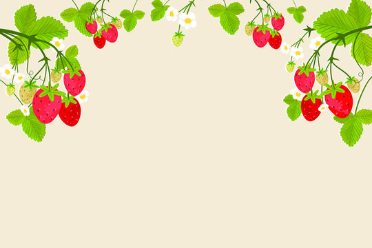 Strawberry Vine Stretched Background.