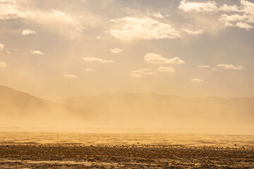 Sand Storm Over The Dunes of Stovepipe Wells