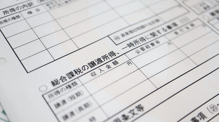 Tax return of Japan 2020 (確定申告）