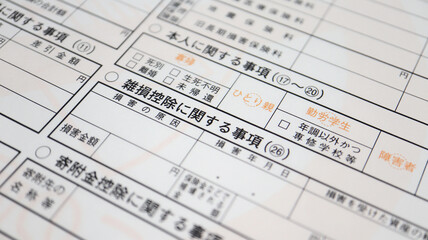 Tax return of Japan 2020 (確定申告）