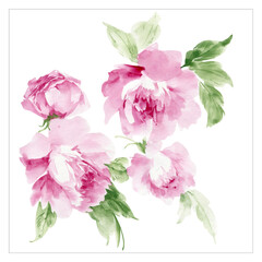Watercolor flowers illustration
