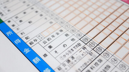 Tax return of Japan 2022（確定申告）