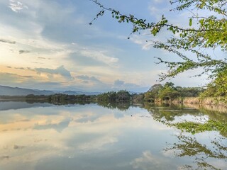 reflection of trees in water