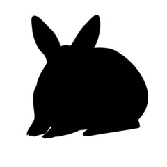 うさぎ　シルエット　シンプル　リアル　モノクロ　イラスト
