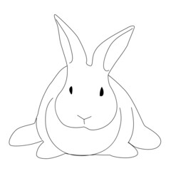 うさぎ　線画　シンプル　リアル　モノクロ　イラスト