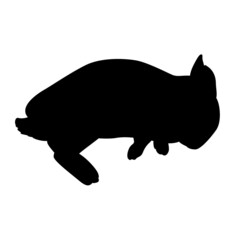 うさぎ　シルエット　シンプル　リアル　モノクロ　イラスト