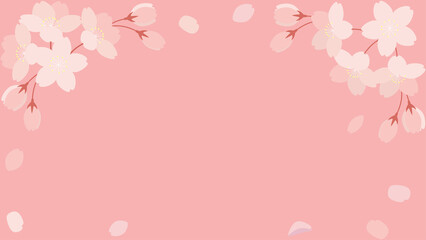 桜の花と花びらのイラストの背景素材　横長