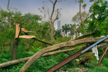 Fototapeta na wymiar Blurred image of Super cyclone Amphan has uprooted tree which fell on ground. The devastation has made many trees fall. Highrise building of Kolkata in background. Kolkata, West Bengal, India.