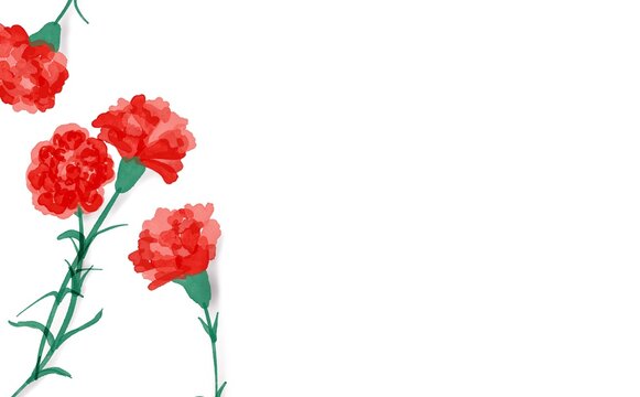 水彩画。水彩で描いたカーネーション。カーネーションのイラストセット。Watercolor painting. Carnations painted with watercolors. Illustration set of carnations.