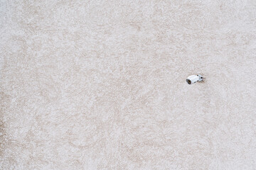 Minimalistic shot. Outdoor surveillance camera on a white wall. Video surveillance at home and on the street. security camera for your security