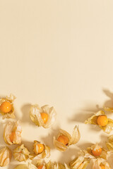 Physalis fruit or Physalis peruviana, small golden berries Vegetarian food and healthy food.