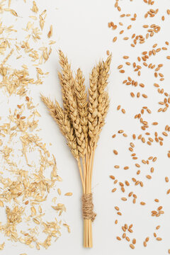 Sheaf of wheat ears close up and seeds, chaff on white background. Natural cereal plant, harvest time concept