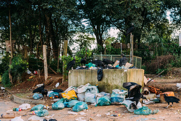 Depósito irregular de lixo na beira da estrada em Minas Gerais, Brasil - obrazy, fototapety, plakaty