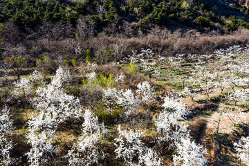 Aerial photography of natural scenery in the suburbs of Beijing