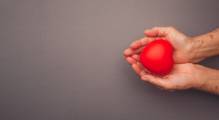 Top view of a red heart on the palm senior woman on a gray background