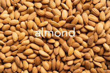 Background of organic almonds. Natural pure almond nuts. Scattered almond grains. Roasted almond for snack. Healthy eating with food from nature