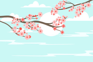 Cherry blossom silhouette. Cherry blossoms in spring with sunrise and blue clouds background 