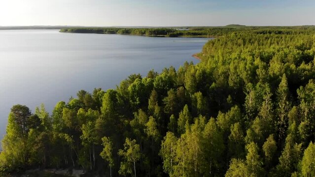 Aerial view of landscape with forest and lake in Karelia