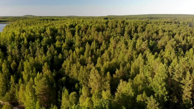 Aerial view of landscape with forest and lake in Karelia