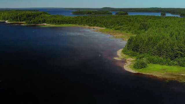 Aerial view of landscape with forest and lake in Karelia