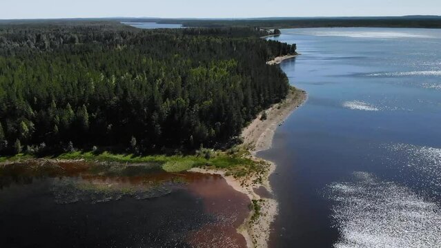 Aerial view of landscape with forest and lake in Karelia