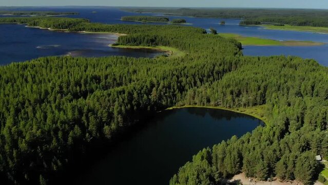 Aerial view of landscape with forest and lake in Karelia