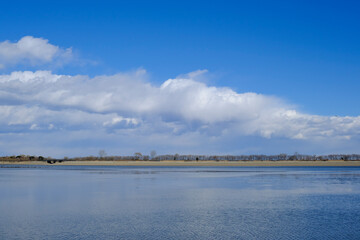 冬晴れの渡良瀬遊水地