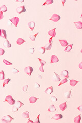 Delicate pink solid background with geranium petals