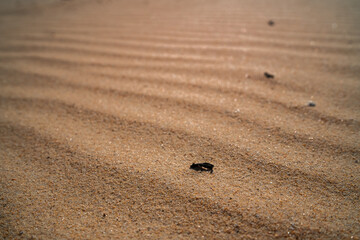 Small stones on sandy beach
