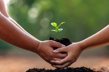 Poster two hand holding small plant for planting in garden. concept earth day © lovelyday12