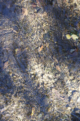 穏やかに流れる川の水面