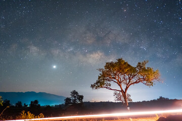 Fototapeta na wymiar Long exposure shot of a lonely tree with the Milky way in the sky