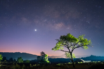 Naklejka na ściany i meble Long exposure shot of a lonely tree with the Milky way in the sky