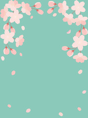 桜の花と花びらのイラストの背景素材　縦長