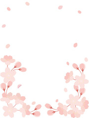 Fototapeta premium 桜の花と花びらのイラストの背景素材 縦長