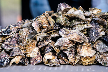 Bunch of empty marine oyster shells on the counter. Selective focus