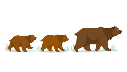 three Bears