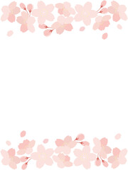 桜の花と花びらのイラストの背景素材　縦長