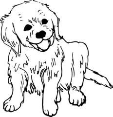 little puppy hand drawn vector