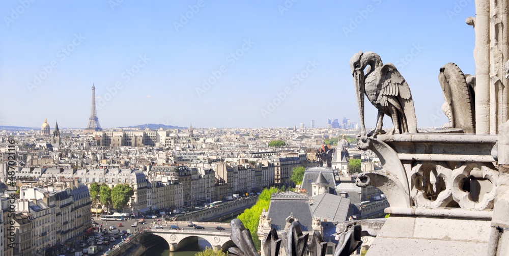 Wall mural top view of paris (view from catholic cathedral notre dame de paris) and river seine, france